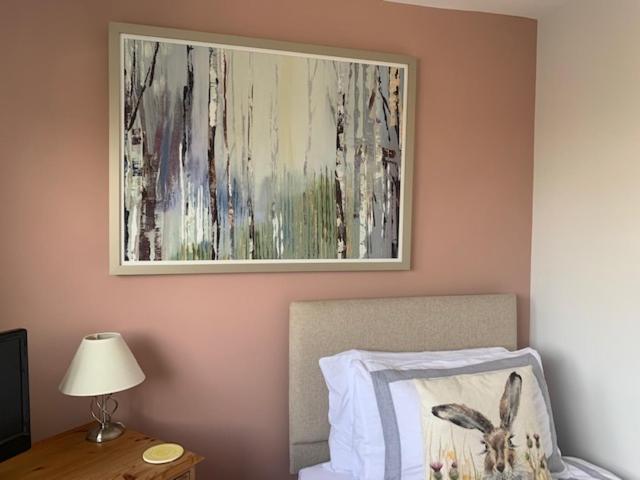 The Firs At Hay-On-Wye B&B ภายนอก รูปภาพ