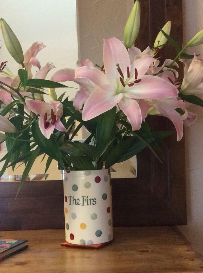 The Firs At Hay-On-Wye B&B ภายนอก รูปภาพ